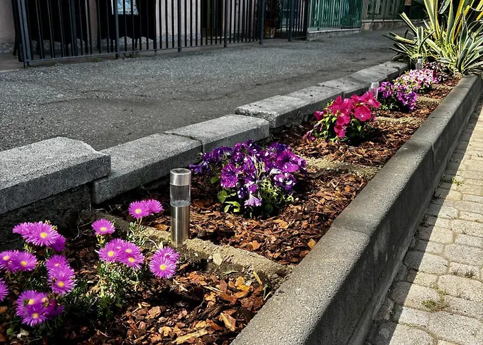 Poseidon- Seaview 墨西拿